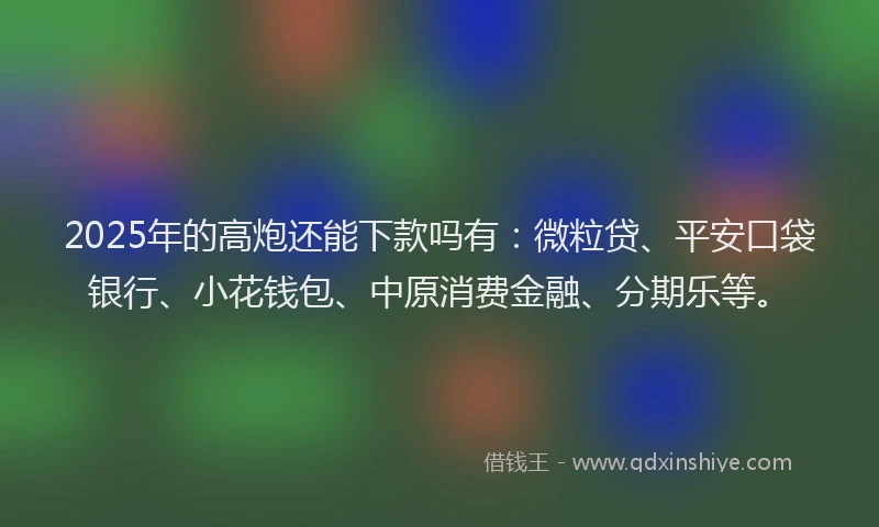 2025年的高炮还能下款吗有：微粒贷、平安口袋银行、小花钱包、中原消费金融、分期乐等。