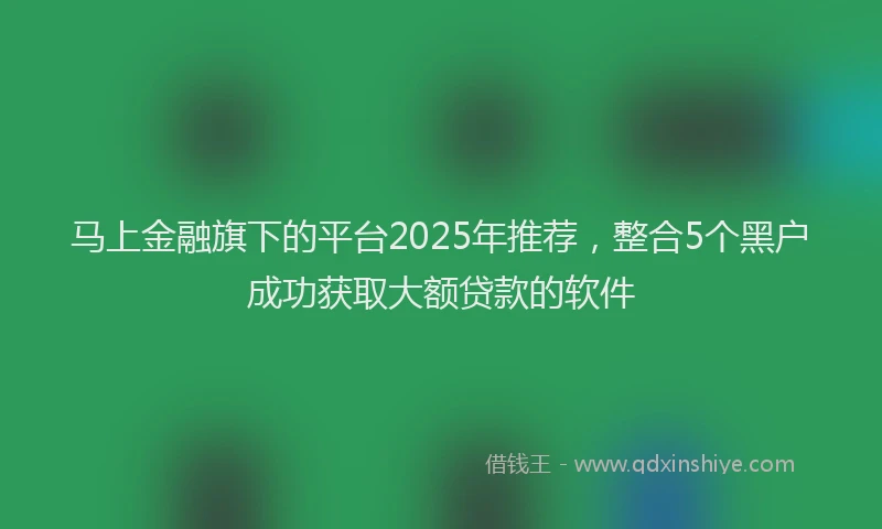 马上金融旗下的平台2025年推荐，整合5个黑户成功获取大额贷款的软件