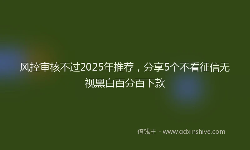风控审核不过2025年推荐，分享5个不看征信无视黑白百分百下款