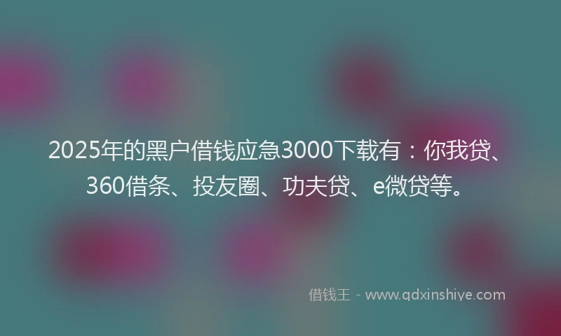 2025年的黑户借钱应急3000下载有：你我贷、360借条、投友圈、功夫贷、e微贷等。
