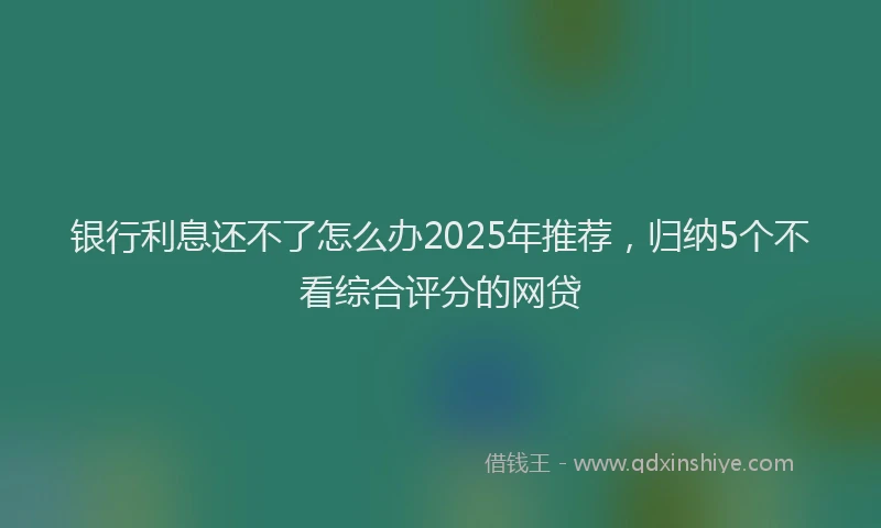 银行利息还不了怎么办2025年推荐，归纳5个不看综合评分的网贷
