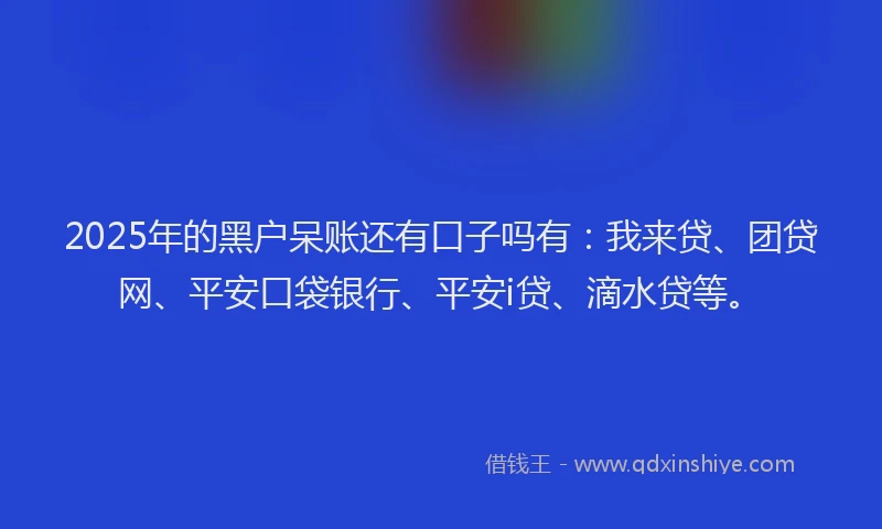 2025年的黑户呆账还有口子吗有：我来贷、团贷网、平安口袋银行、平安i贷、滴水贷等。