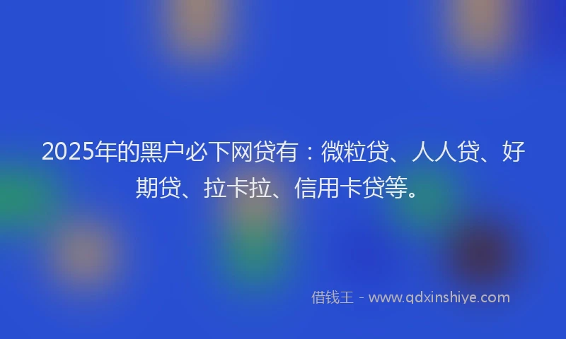 2025年的黑户必下网贷有：微粒贷、人人贷、好期贷、拉卡拉、信用卡贷等。