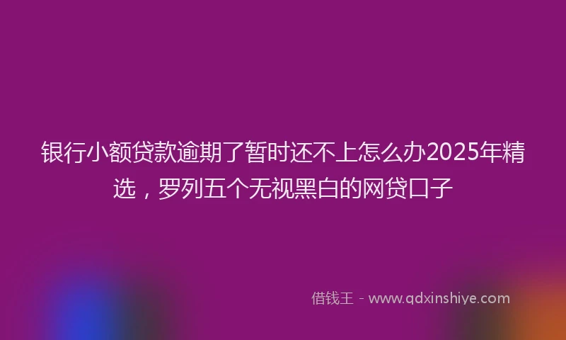 银行小额贷款逾期了暂时还不上怎么办2025年精选，罗列五个无视黑白的网贷口子