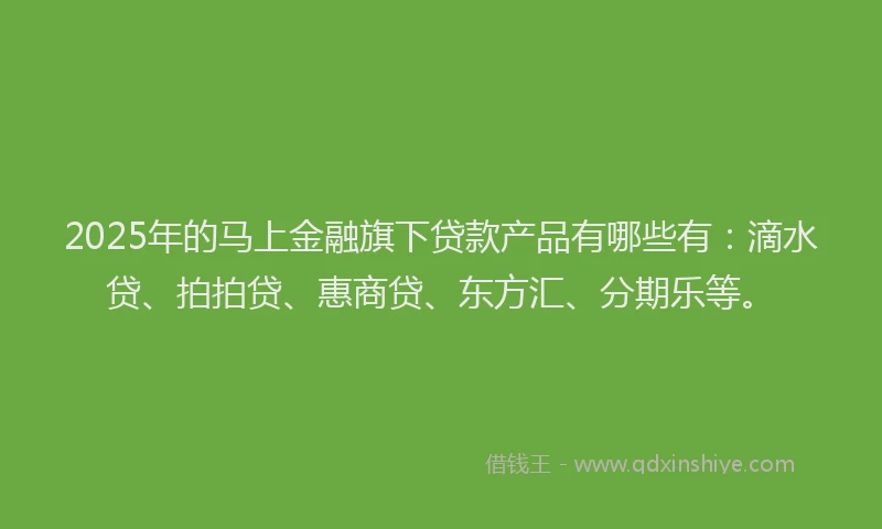2025年的马上金融旗下贷款产品有哪些有：滴水贷、拍拍贷、惠商贷、东方汇、分期乐等。
