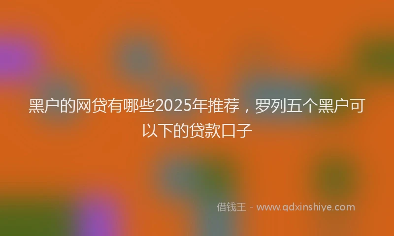 黑户的网贷有哪些2025年推荐，罗列五个黑户可以下的贷款口子