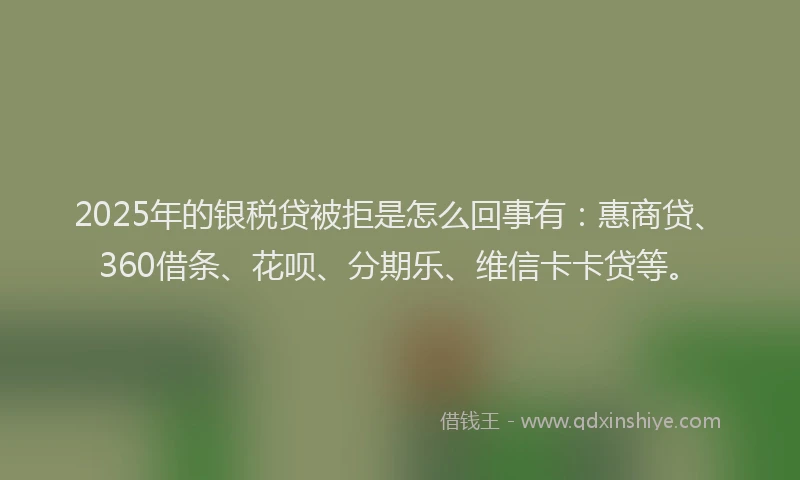 2025年的银税贷被拒是怎么回事有：惠商贷、360借条、花呗、分期乐、维信卡卡贷等。