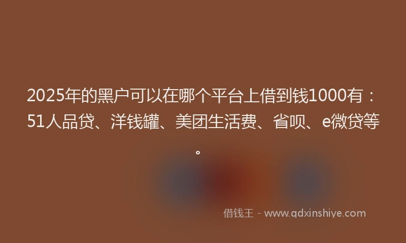 2025年的黑户可以在哪个平台上借到钱1000有：51人品贷、洋钱罐、美团生活费、省呗、e微贷等。