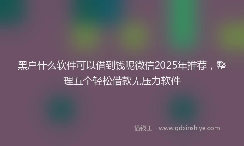 黑户什么软件可以借到钱呢微信2025年推荐，整理五个轻松借款无压力软件