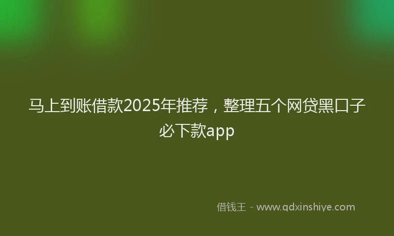 马上到账借款2025年推荐，整理五个网贷黑口子必下款app