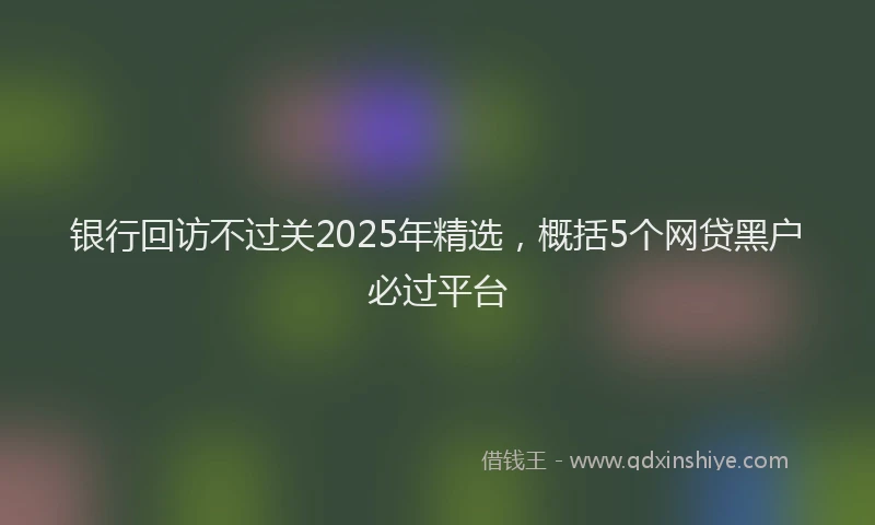 银行回访不过关2025年精选，概括5个网贷黑户必过平台