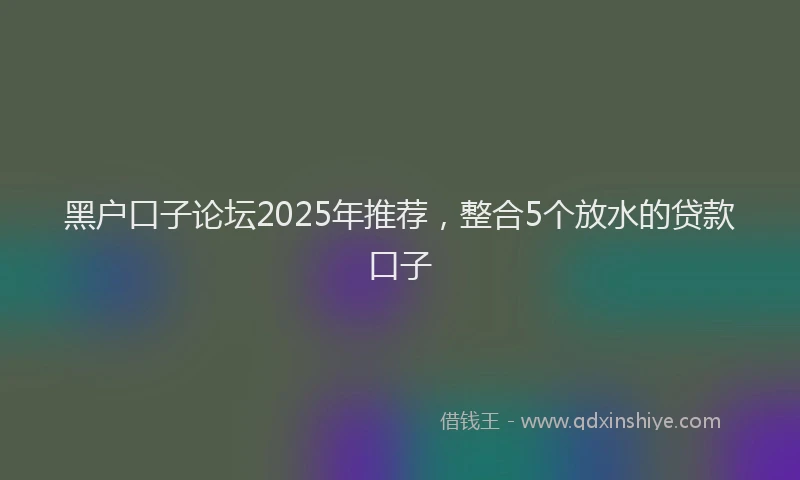 黑户口子论坛2025年推荐，整合5个放水的贷款口子