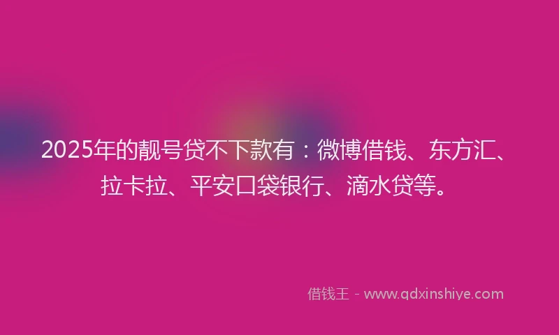 2025年的靓号贷不下款有：微博借钱、东方汇、拉卡拉、平安口袋银行、滴水贷等。