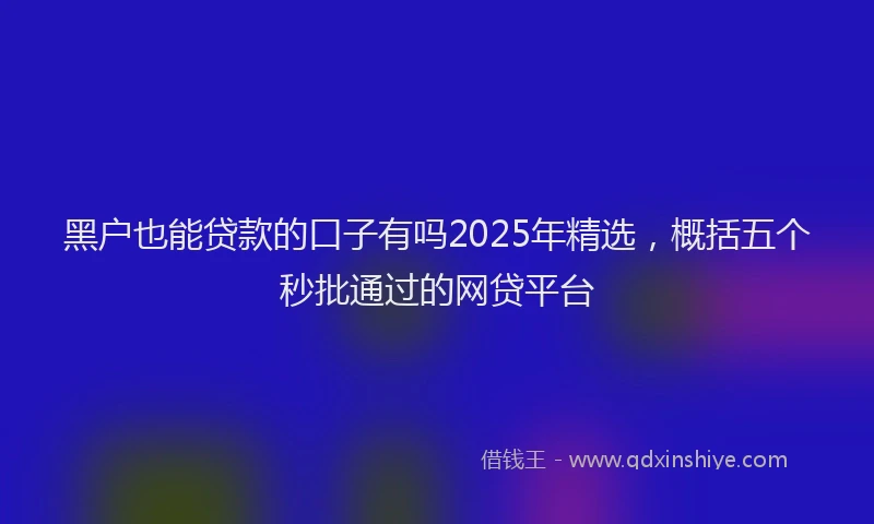 黑户也能贷款的口子有吗2025年精选，概括五个秒批通过的网贷平台