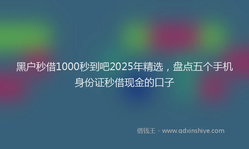 黑户秒借1000秒到吧2025年精选，盘点五个手机身份证秒借现金的口子