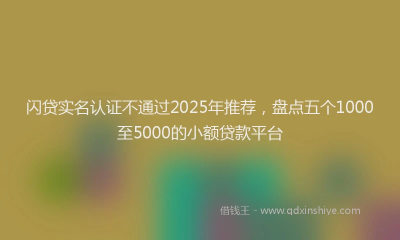 闪贷实名认证不通过2025年推荐，盘点五个1000至5000的小额贷款平台