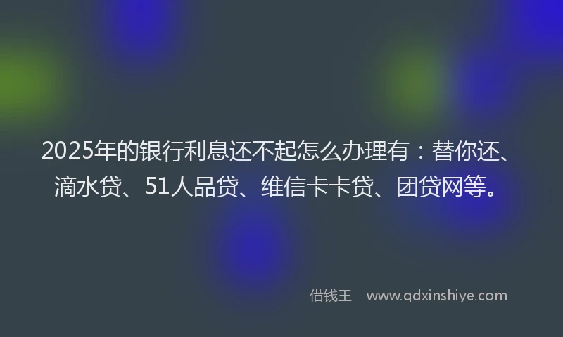 2025年的银行利息还不起怎么办理有：替你还、滴水贷、51人品贷、维信卡卡贷、团贷网等。