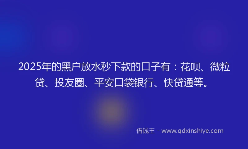 2025年的黑户放水秒下款的口子有：花呗、微粒贷、投友圈、平安口袋银行、快贷通等。