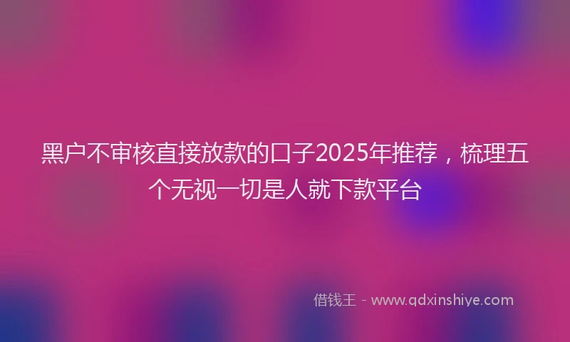 黑户不审核直接放款的口子2025年推荐，梳理五个无视一切是人就下款平台