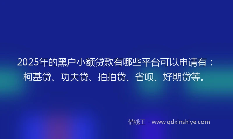 2025年的黑户小额贷款有哪些平台可以申请有：柯基贷、功夫贷、拍拍贷、省呗、好期贷等。