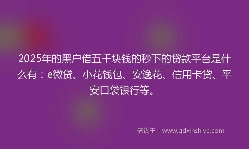 2025年的黑户借五千块钱的秒下的贷款平台是什么有：e微贷、小花钱包、安逸花、信用卡贷、平安口袋银行等。