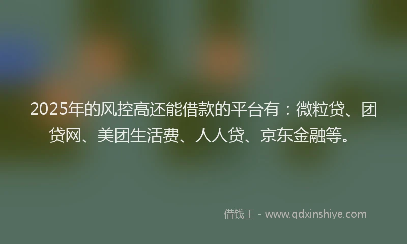 2025年的风控高还能借款的平台有：微粒贷、团贷网、美团生活费、人人贷、京东金融等。