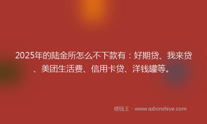 2025年的陆金所怎么不下款有：好期贷、我来贷、美团生活费、信用卡贷、洋钱罐等。