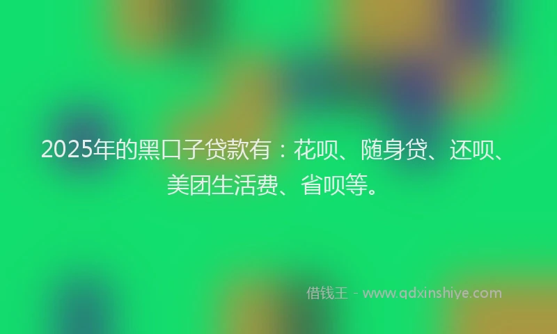 2025年的黑口子贷款有：花呗、随身贷、还呗、美团生活费、省呗等。