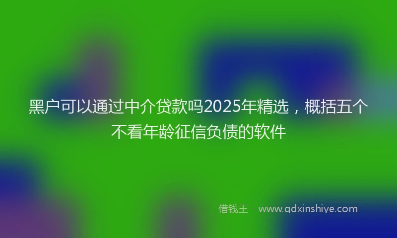 黑户可以通过中介贷款吗2025年精选，概括五个不看年龄征信负债的软件