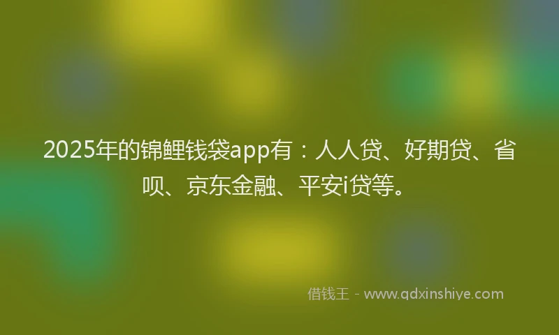 2025年的锦鲤钱袋app有：人人贷、好期贷、省呗、京东金融、平安i贷等。