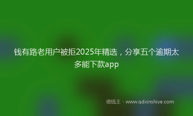 钱有路老用户被拒2025年精选，分享五个逾期太多能下款app