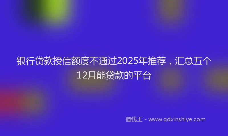 银行贷款授信额度不通过2025年推荐，汇总五个12月能贷款的平台