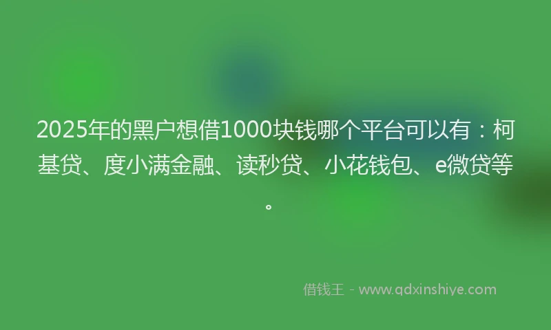 2025年的黑户想借1000块钱哪个平台可以有：柯基贷、度小满金融、读秒贷、小花钱包、e微贷等。