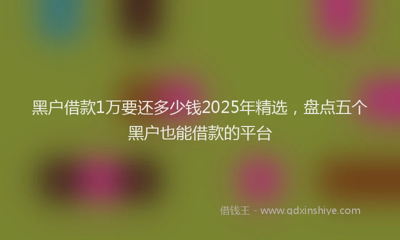 黑户借款1万要还多少钱2025年精选，盘点五个黑户也能借款的平台