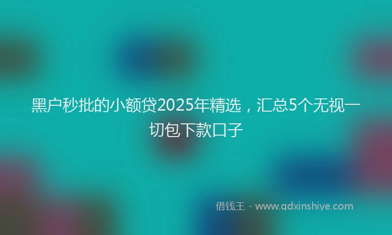 黑户秒批的小额贷2025年精选，汇总5个无视一切包下款口子