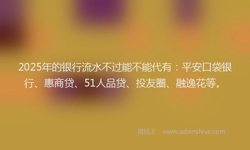 2025年的银行流水不过能不能代有：平安口袋银行、惠商贷、51人品贷、投友圈、融逸花等。