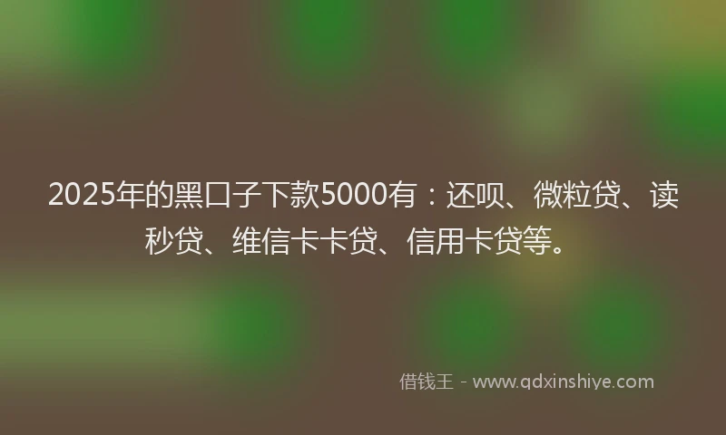 2025年的黑口子下款5000有：还呗、微粒贷、读秒贷、维信卡卡贷、信用卡贷等。