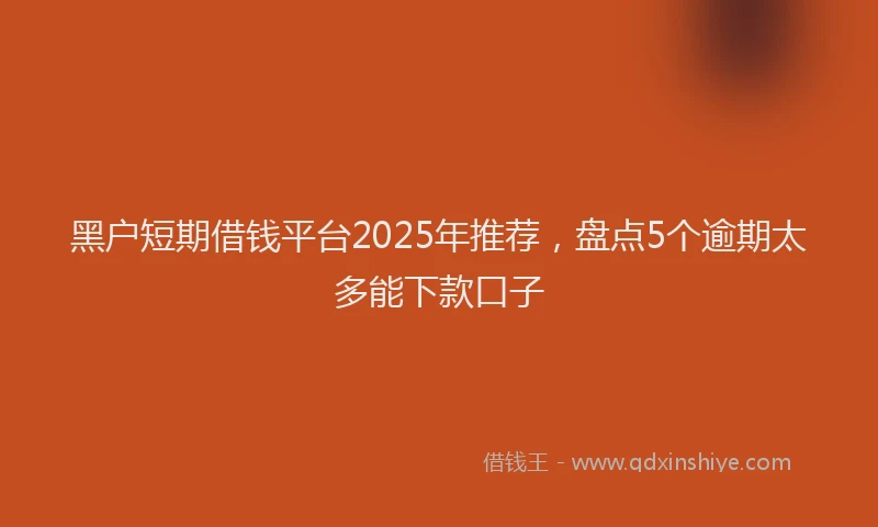 黑户短期借钱平台2025年推荐，盘点5个逾期太多能下款口子