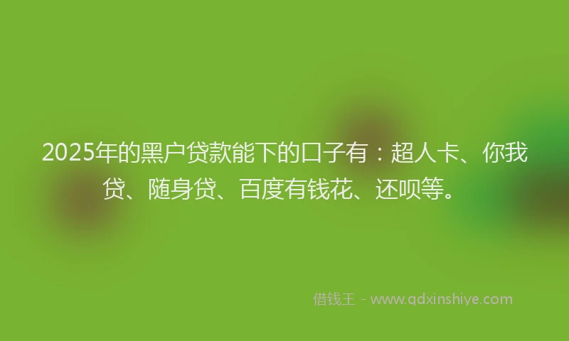 2025年的黑户贷款能下的口子有：超人卡、你我贷、随身贷、百度有钱花、还呗等。