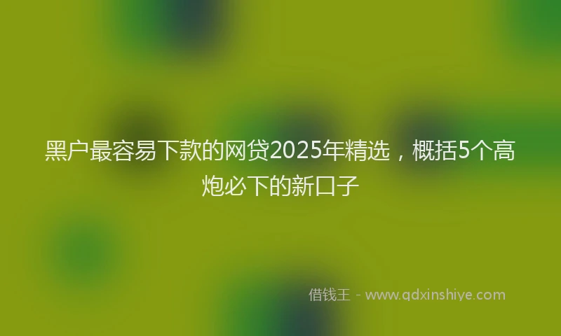 黑户最容易下款的网贷2025年精选，概括5个高炮必下的新口子