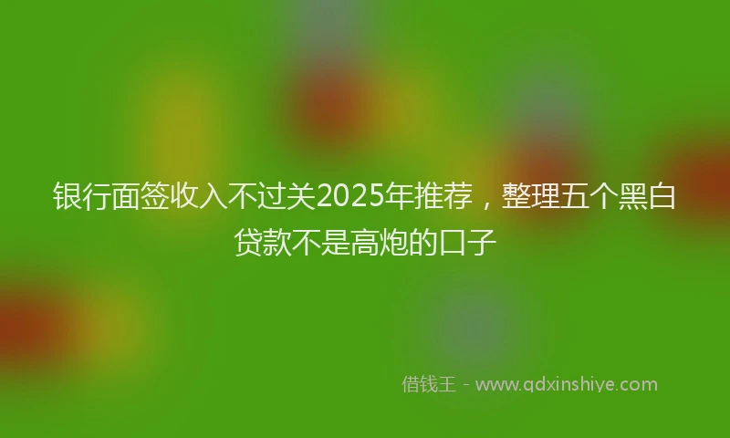 银行面签收入不过关2025年推荐，整理五个黑白贷款不是高炮的口子