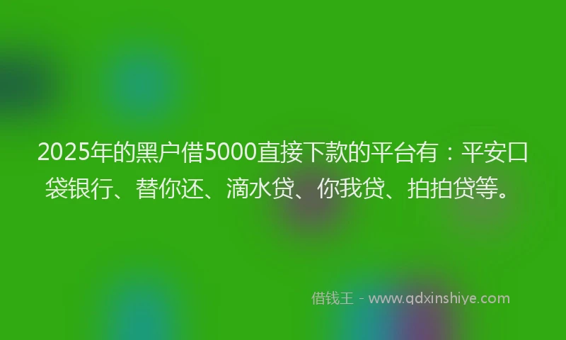 2025年的黑户借5000直接下款的平台有：平安口袋银行、替你还、滴水贷、你我贷、拍拍贷等。