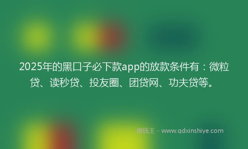 2025年的黑口子必下款app的放款条件有：微粒贷、读秒贷、投友圈、团贷网、功夫贷等。