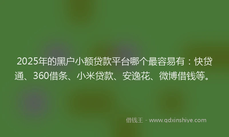 2025年的黑户小额贷款平台哪个最容易有：快贷通、360借条、小米贷款、安逸花、微博借钱等。