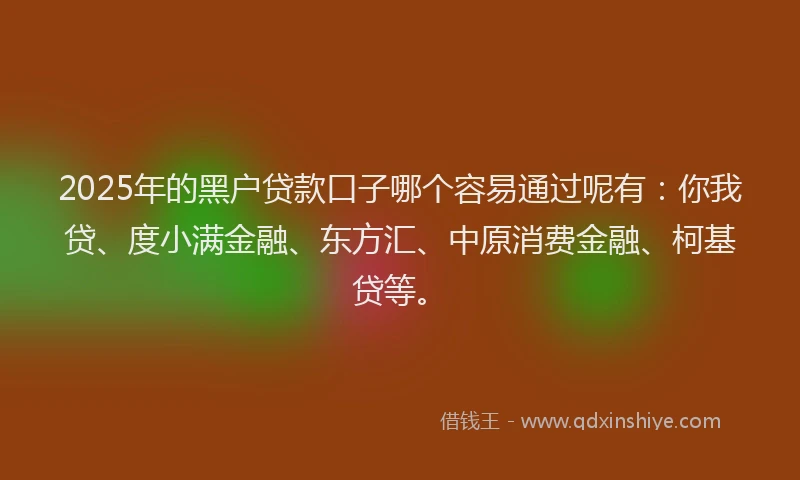 2025年的黑户贷款口子哪个容易通过呢有：你我贷、度小满金融、东方汇、中原消费金融、柯基贷等。
