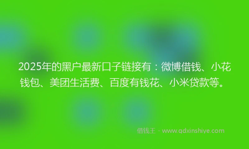 2025年的黑户最新口子链接有：微博借钱、小花钱包、美团生活费、百度有钱花、小米贷款等。