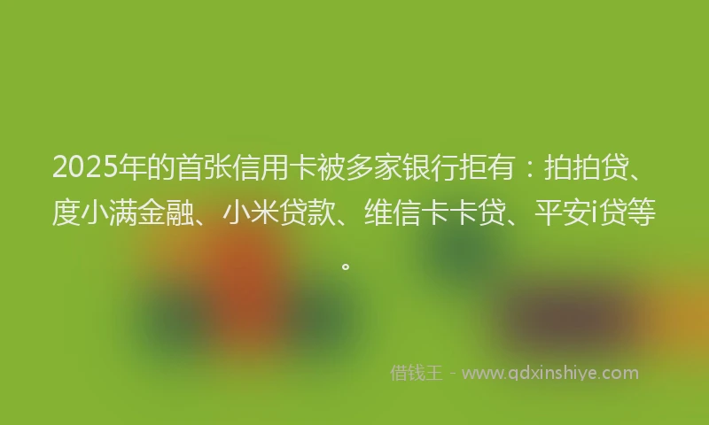 2025年的首张信用卡被多家银行拒有：拍拍贷、度小满金融、小米贷款、维信卡卡贷、平安i贷等。
