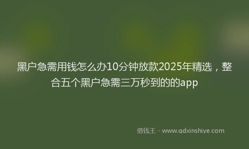 黑户急需用钱怎么办10分钟放款2025年精选，整合五个黑户急需三万秒到的的app
