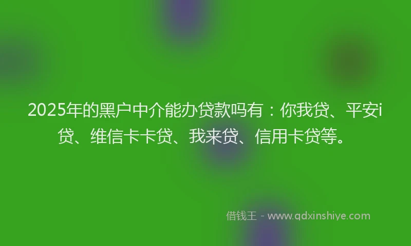 2025年的黑户中介能办贷款吗有：你我贷、平安i贷、维信卡卡贷、我来贷、信用卡贷等。