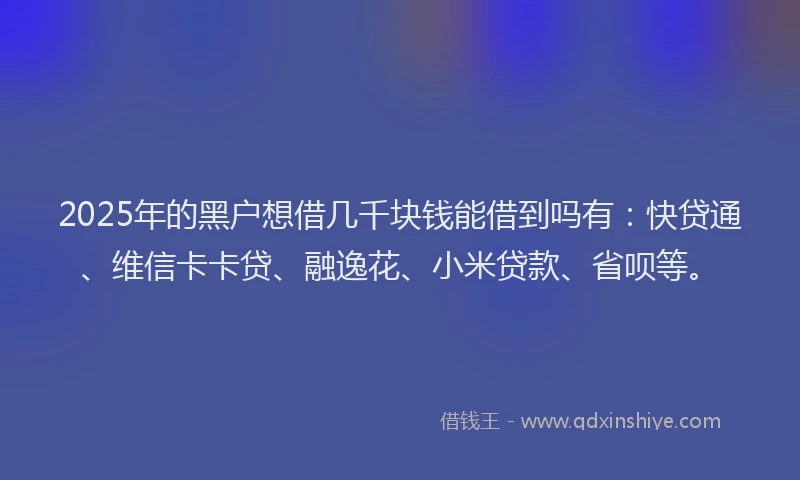 2025年的黑户想借几千块钱能借到吗有：快贷通、维信卡卡贷、融逸花、小米贷款、省呗等。